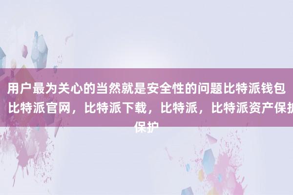 用户最为关心的当然就是安全性的问题比特派钱包，比特派官网，比特派下载，比特派，比特派资产保护