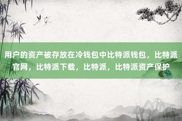 用户的资产被存放在冷钱包中比特派钱包，比特派官网，比特派下载，比特派，比特派资产保护