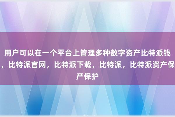 用户可以在一个平台上管理多种数字资产比特派钱包，比特派官网，比特派下载，比特派，比特派资产保护