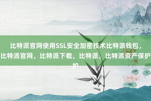 比特派官网使用SSL安全加密技术比特派钱包，比特派官网，比特派下载，比特派，比特派资产保护