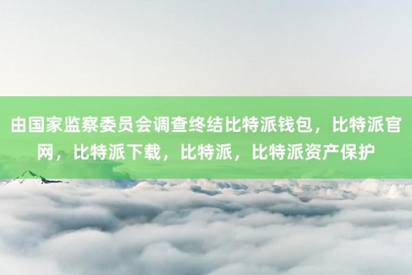 由国家监察委员会调查终结比特派钱包，比特派官网，比特派下载，比特派，比特派资产保护