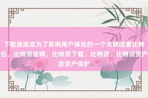 下载速度成为了影响用户体验的一个关键因素比特派钱包，比特派官网，比特派下载，比特派，比特派资产保护