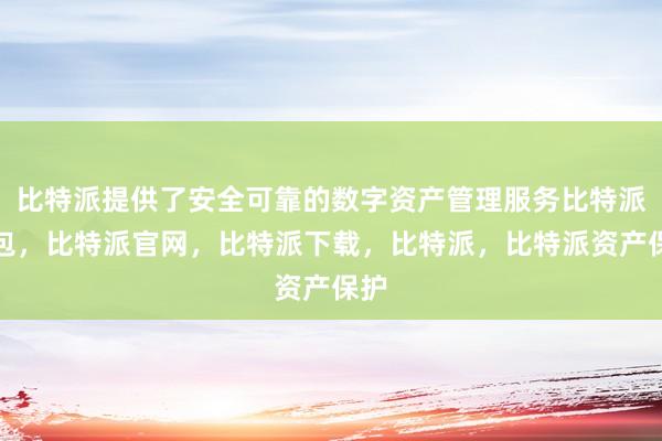 比特派提供了安全可靠的数字资产管理服务比特派钱包，比特派官网，比特派下载，比特派，比特派资产保护