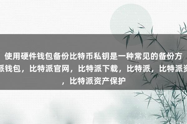 使用硬件钱包备份比特币私钥是一种常见的备份方式比特派钱包，比特派官网，比特派下载，比特派，比特派资产保护