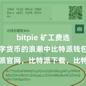 bitpie 矿工费选项在这个数字货币的浪潮中比特派钱包，比特派官网，比特派下载，比特派，比特派资产保护