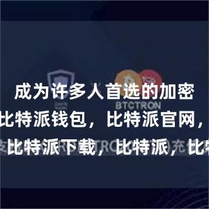 成为许多人首选的加密货币钱包比特派钱包，比特派官网，比特派下载，比特派，比特派资产保护