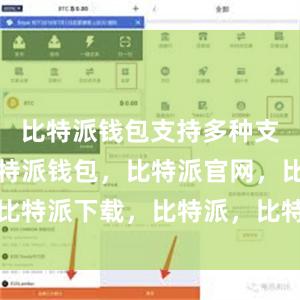 比特派钱包支持多种支付方式比特派钱包，比特派官网，比特派下载，比特派，比特派资产保护