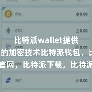 比特派wallet提供了安全可靠的加密技术比特派钱包，比特派官网，比特派下载，比特派，比特派资产保护